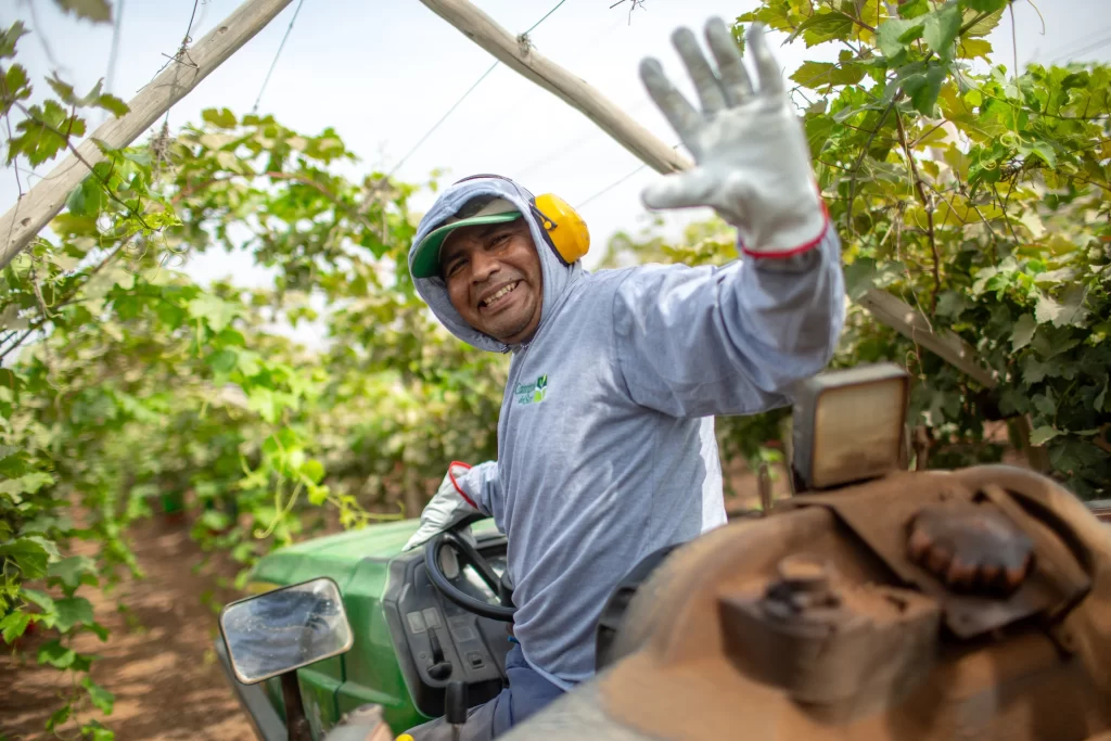 Fotografia Agroexportacion hombre manejando tractor