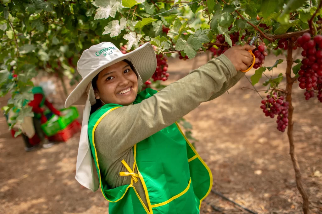 Fotografía agroexpotacion mujer trabajando